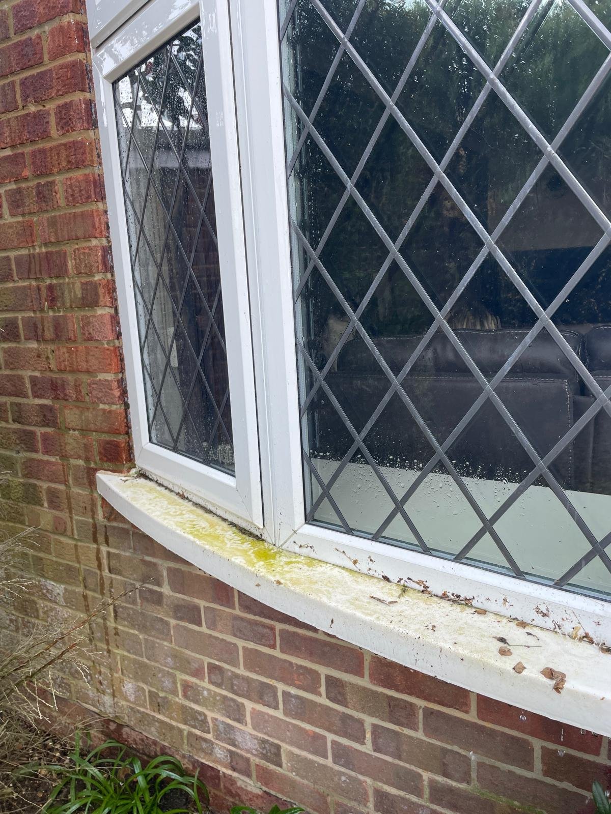 uPVC bay window sill covered in green algae and debris before cleaning